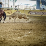 mex16kis